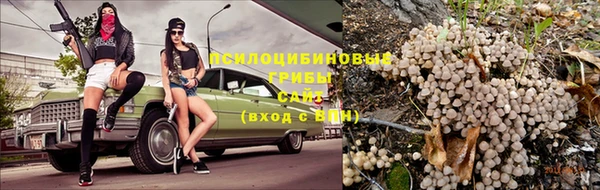 дмт Михайлов